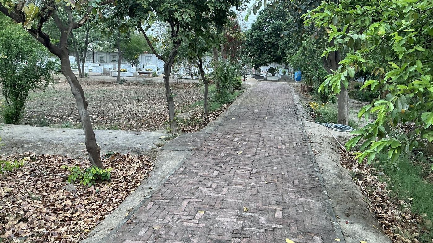 A brick path running between graves under trees